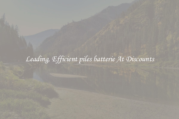 Leading, Efficient piles batterie At Discounts