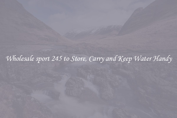 Wholesale sport 245 to Store, Carry and Keep Water Handy