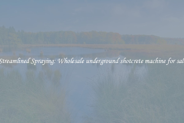 Streamlined Spraying: Wholesale underground shotcrete machine for sale