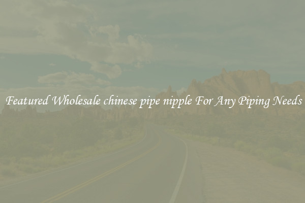 Featured Wholesale chinese pipe nipple For Any Piping Needs