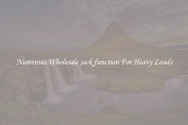 Numerous Wholesale jack function For Heavy Loads