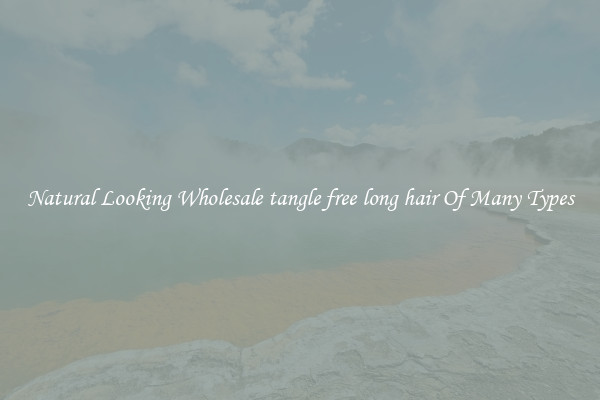 Natural Looking Wholesale tangle free long hair Of Many Types