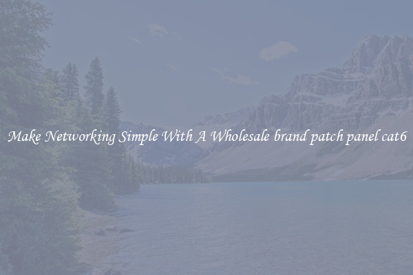 Make Networking Simple With A Wholesale brand patch panel cat6