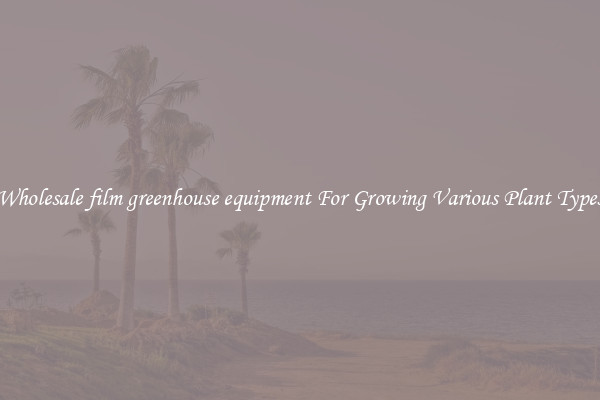 Wholesale film greenhouse equipment For Growing Various Plant Types