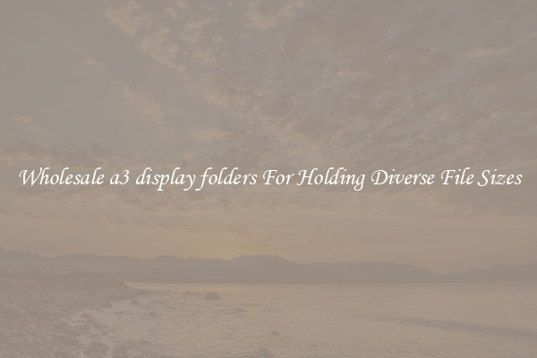 Wholesale a3 display folders For Holding Diverse File Sizes