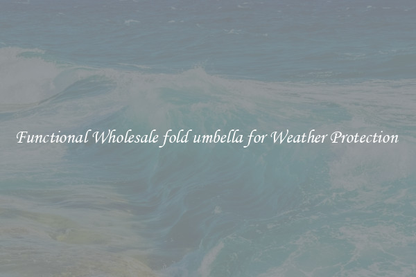 Functional Wholesale fold umbella for Weather Protection 