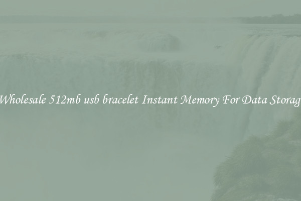 Wholesale 512mb usb bracelet Instant Memory For Data Storage