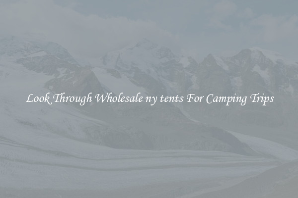 Look Through Wholesale ny tents For Camping Trips