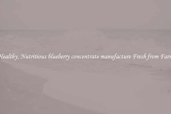 Healthy, Nutritious blueberry concentrate manufacture Fresh from Farm