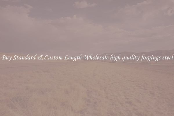 Buy Standard & Custom Length Wholesale high quality forgings steel