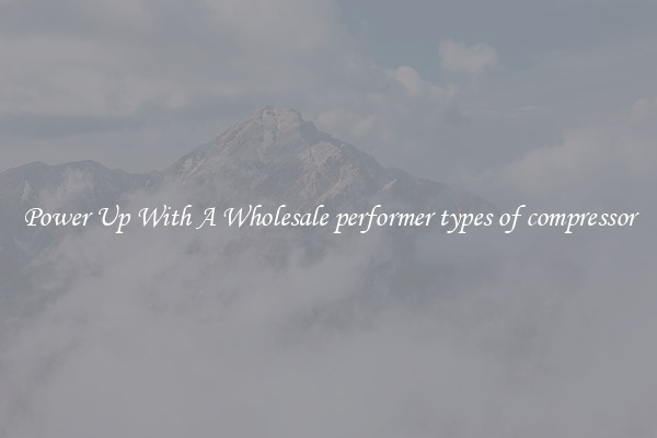 Power Up With A Wholesale performer types of compressor