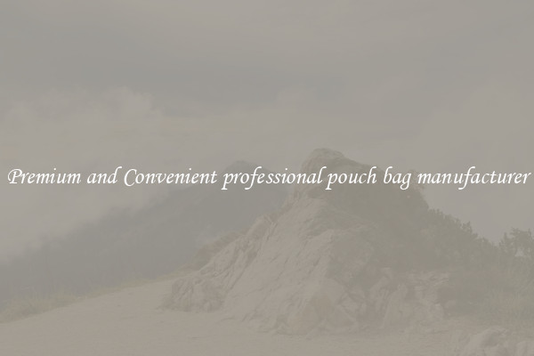 Premium and Convenient professional pouch bag manufacturer