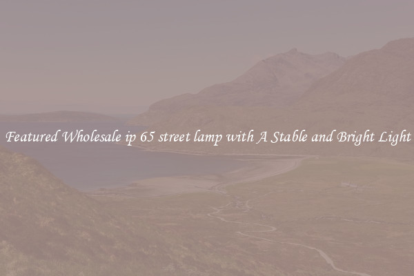 Featured Wholesale ip 65 street lamp with A Stable and Bright Light